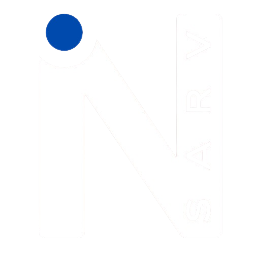 insarv.com